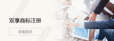 双享商标注册